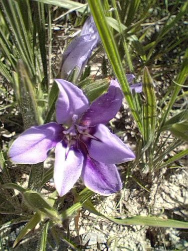 PHOTO-2025-09-01-12-52-46(1)